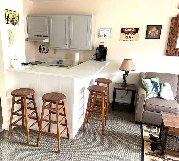 Unique Yeti-Theme Ski On Off Suite Jiminy-Sleeps 4 Hancock Eksteriør bilde
